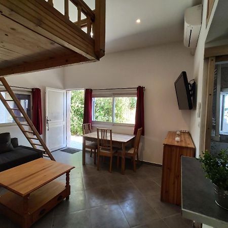 Joli Studio Au Calme Toulon Kültér fotó